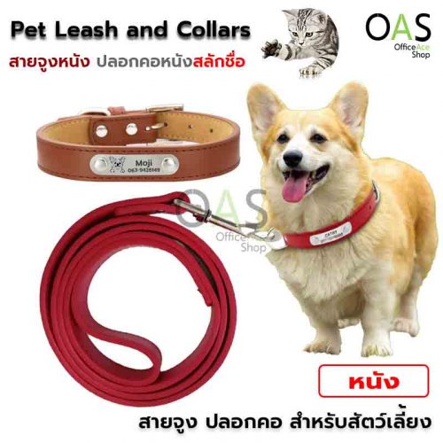 Pet leather Leash and Collars With engraved name
