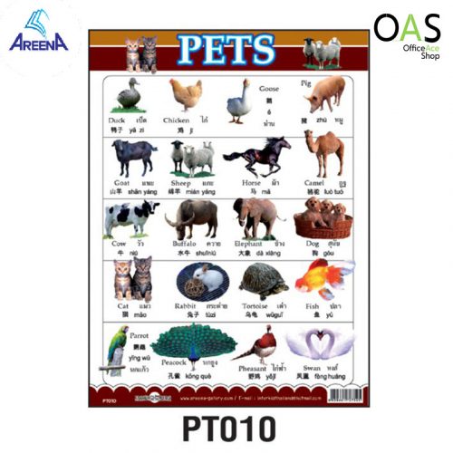 PT010 : PETS