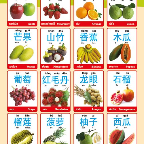 คำศัพท์ภาษาจีน หมวดผลไม้ #EP-320